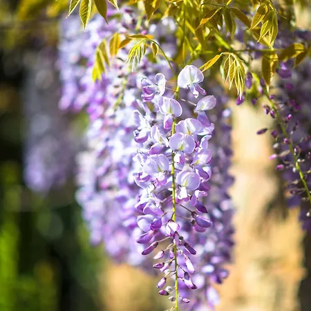 La Maison De La - Vacation In Normandy *