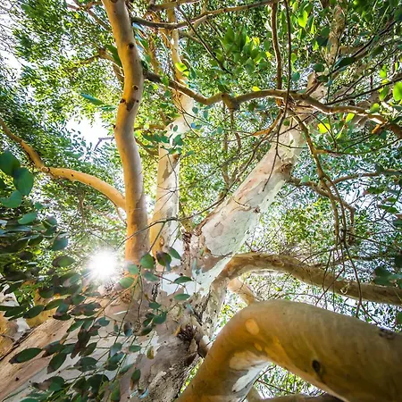 Dom wakacyjny La Maison De La - Vacation In Normandy Cosqueville