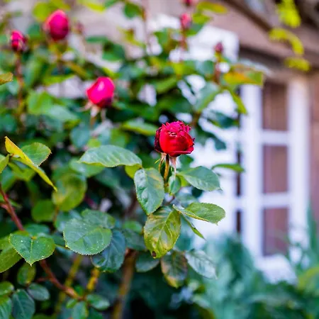 La Maison De La - Vacation In Normandy Dom wakacyjny *