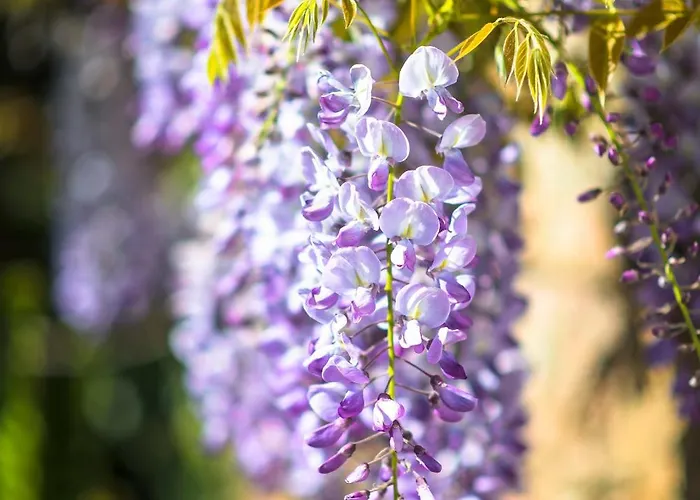 La Maison De La - Vacation In Normandy *