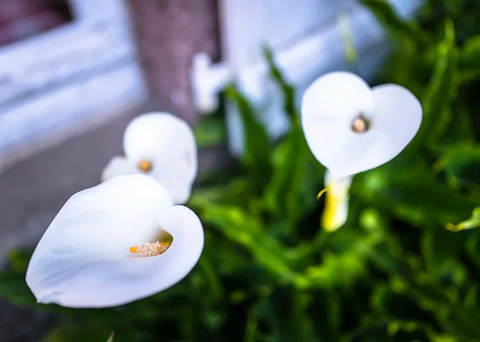 La Maison De La - Vacation In Normandy * Cosqueville
