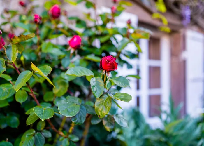 La Maison De La - Vacation In Normandy Feriehus *